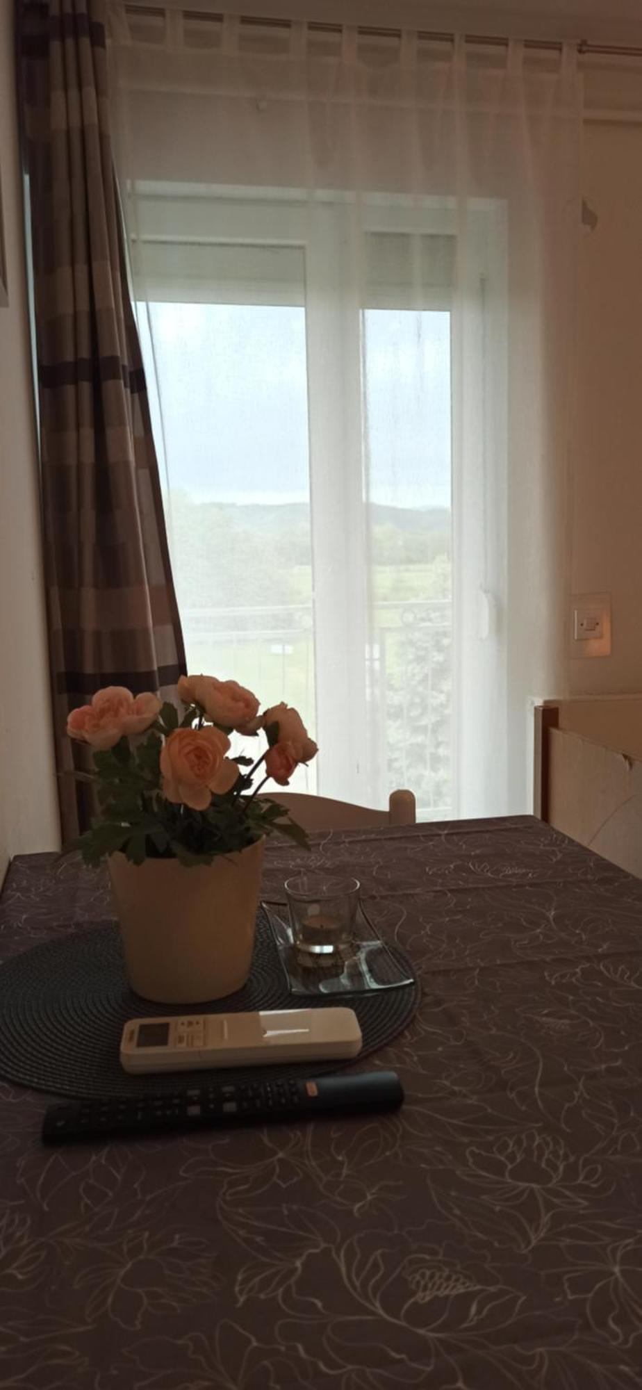 Studio Apartmani Ok Lipik Habitación foto
